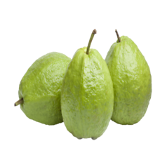 Guava (अमरूद)