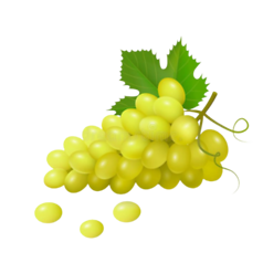 Green Grapes (हरे अंगूर)
