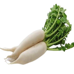 Radish (मूली)