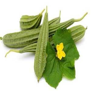 Ridged Gourd (तोरी)