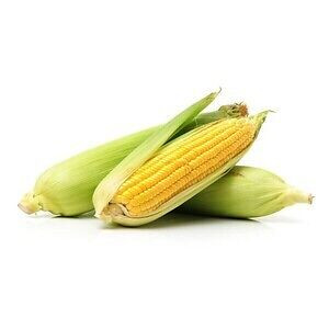 Corn (मक्का)