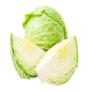 Cabbage (पत्ता गोभी)