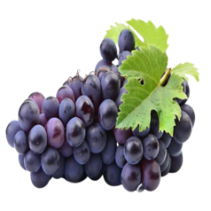 Black Grapes (काले अंगूर)
