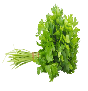 Coriander Leaves(हरा धनिया पत्ता)