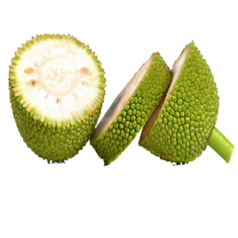 Jackfruit (कटहल)